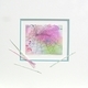 "Fractured Web"